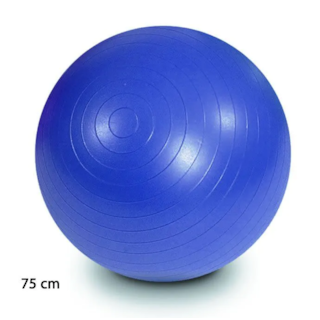 Bola de Exercício 75cm