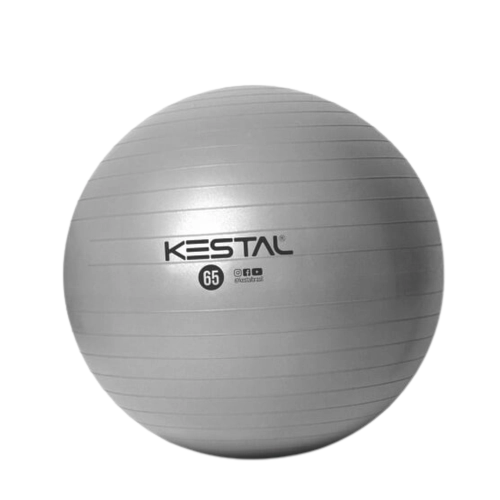 EMP ヒルホカクタス フロコッサス 実生 / CT684 Bola de Pilates Cinza - 65cm - Loja do Avô